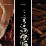 Anvera Origin 0.1 - Image 3